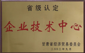 2003年公司技術(shù)中心被認定為省級企業(yè)技術(shù)中心